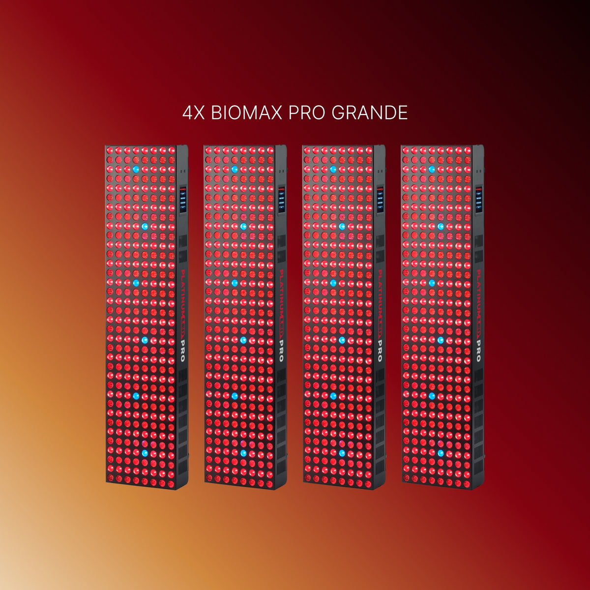 2x-BIOMAX-PRO-GRANDE-+-GRANDE-2